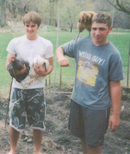 Suburban Chicken Ranchers